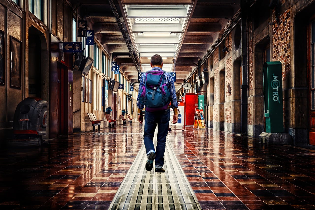 Jakie są zasady ochrony przyrody w parkach narodowych?