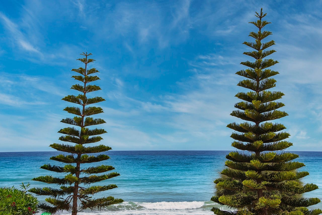 Pacyficzny pierścień ognia – Chile na styku płyt