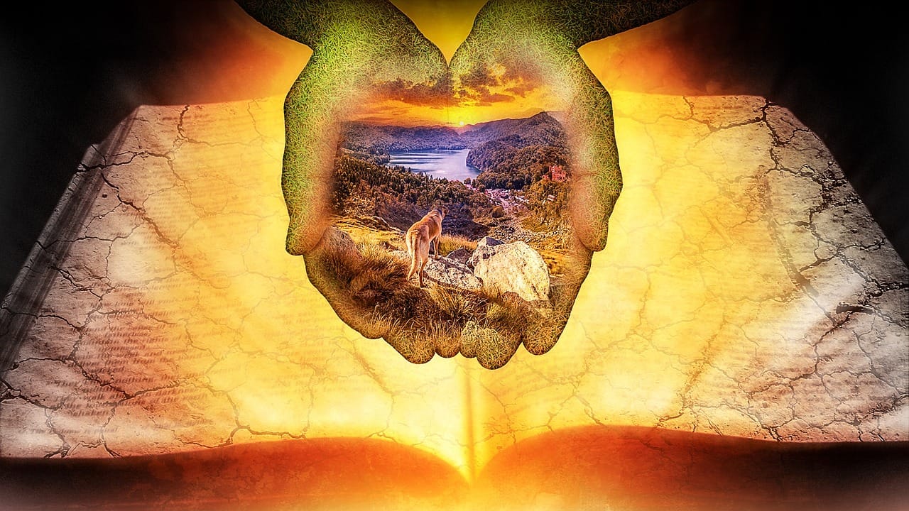 Jakie są Twoje ulubione miejsca?