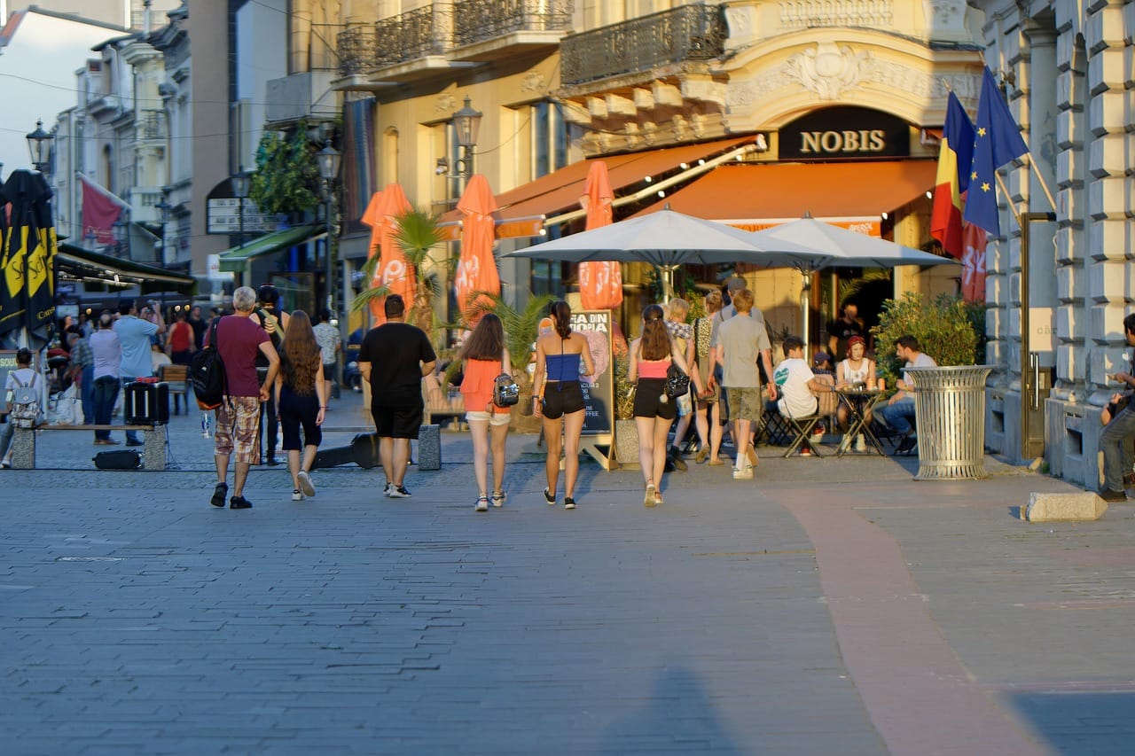 Dlaczego lama i alpaka są tak ważne w kulturze?