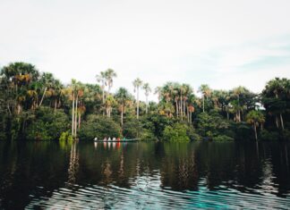Eko podróż po Brazylii: odpowiedzialna turystyka, wybór lokalnych operatorów i szacunek dla społeczności Amazonii Spokojny rejs łodzią po tropikalnej rzece w brazylijskiej dżungli