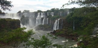 Widok na wodospady Iguazu spadające przez bujną zieleń w Argentynie