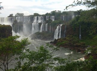 Widok na wodospady Iguazu spadające przez bujną zieleń w Argentynie