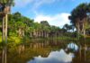 Amazonka w Peru: Puerto Maldonado czy Iquitos? Który rejon dżungli wybrać na safari? Spokojne jezioro otoczone palmami amazońskiej dżungli w Puerto Maldonado